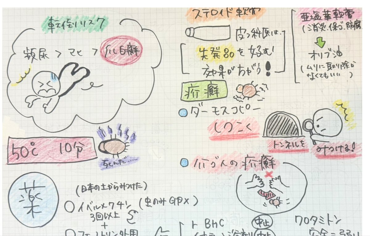 習ったあとの、要点が整理された手書きノート